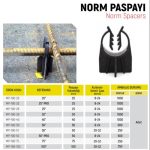 Norm Paspayı