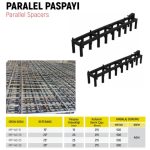 Paralel Paspayi